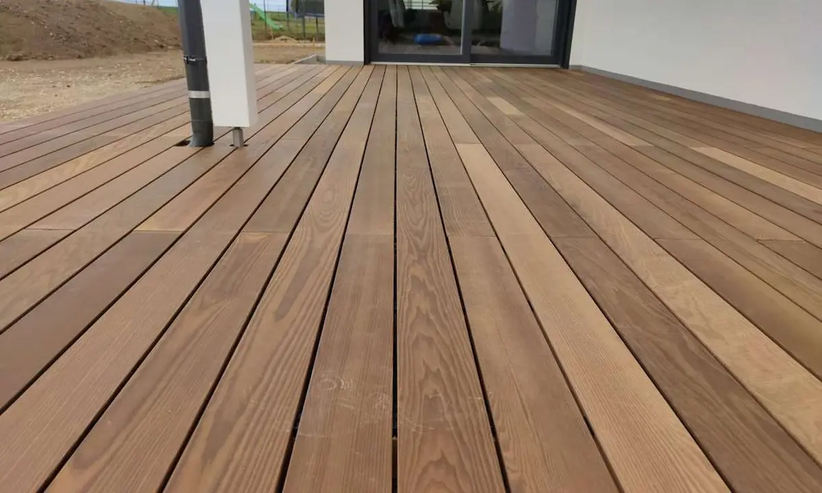 Термодерево, Львів